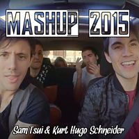 2015 Mashup - Sam Tsui & Kurt Hugo Schneider.mp3