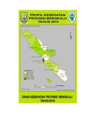 Profil Kesehatan Prov. Bengkulu 2015 pdf.pdf