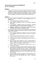 NIC-38-Activos Intangibles 2010.pdf
